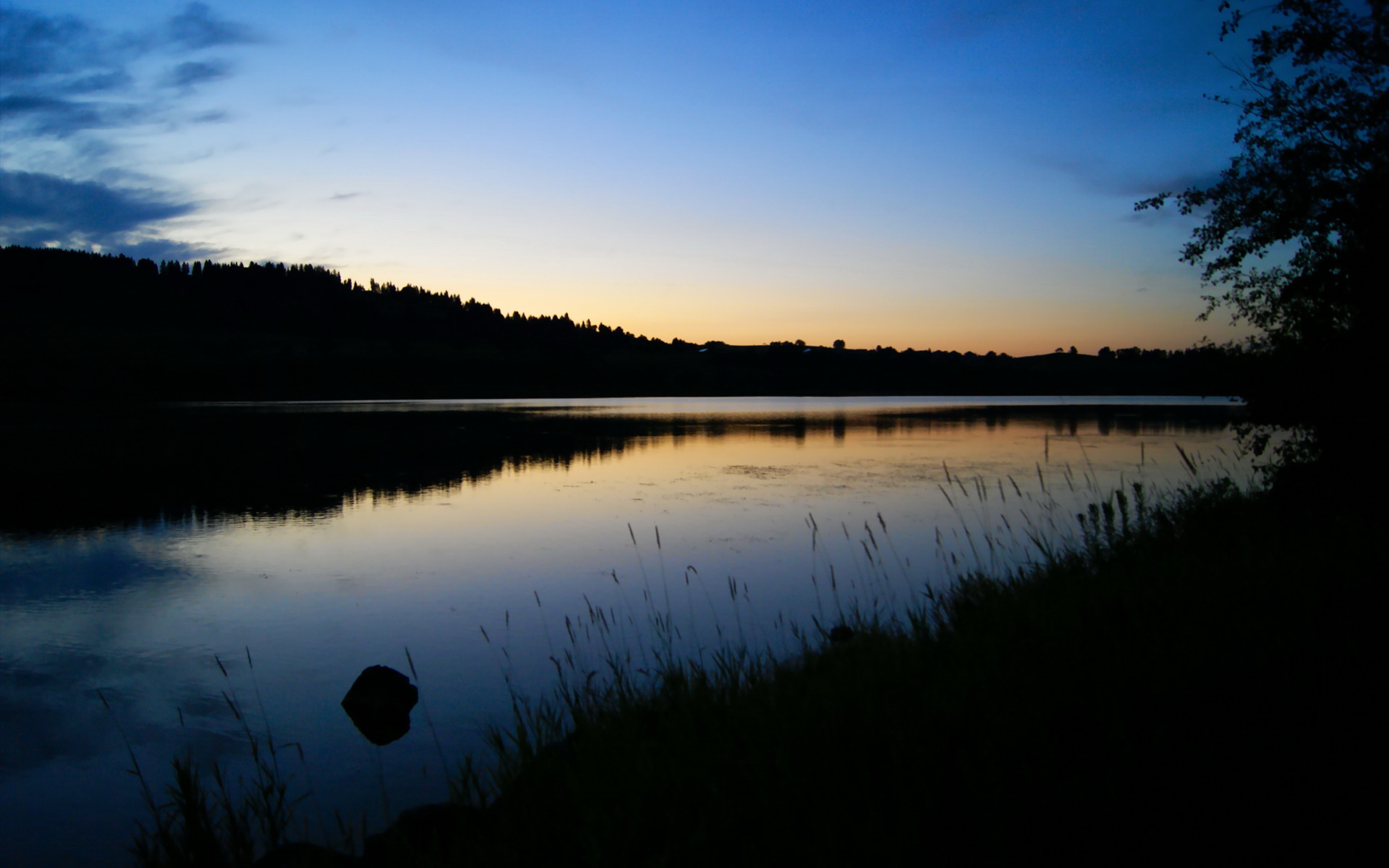 _三维虚拟体育体验馆:沉浸运动新方式_,三维体育官网