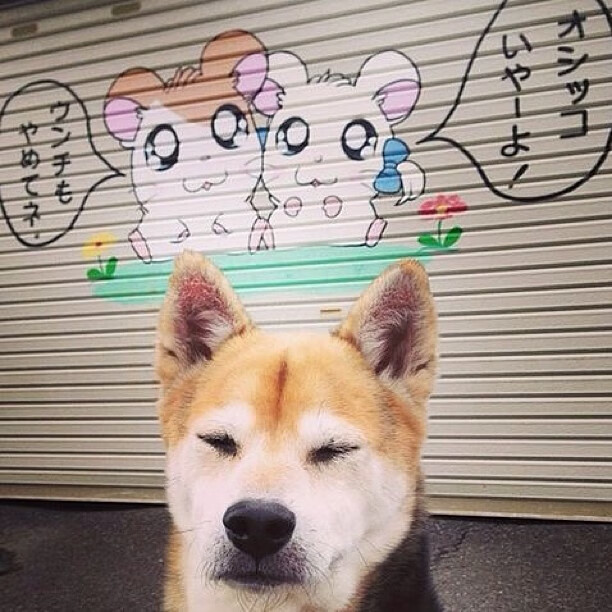 《《绝地求生》优化提升,游戏体验更流畅》,绝地求生优化软件叫啥