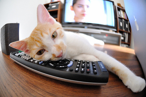 乐鱼电竞· (中国)官方网站-全国青少年“篮球+科技”创新运输“智慧篮”系统，推动青训信息化升级