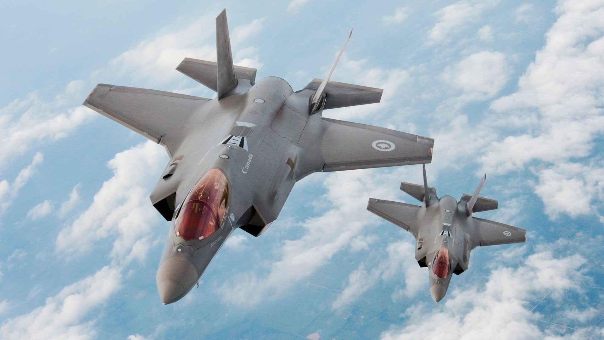 比利时游泳选手在男子100米蝶泳比赛中获得第八名,100蝶泳世界纪录视频