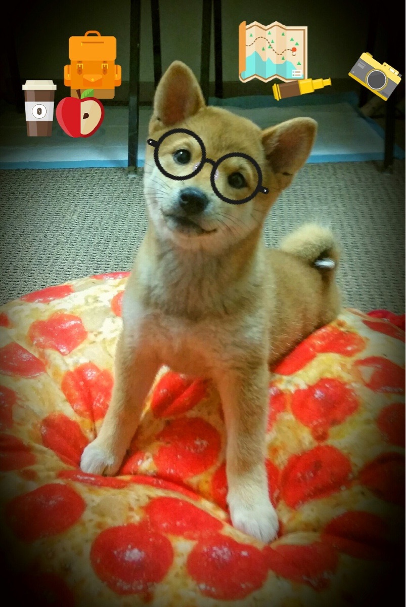 乐鱼电竞在线平台-皇室战争“战术大师”跨界赛事，策略定乾坤，皇室战争高端局视频