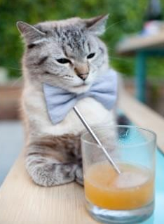 维克托·文班亚马成为NBA全球形象代表,文班亚马臂展