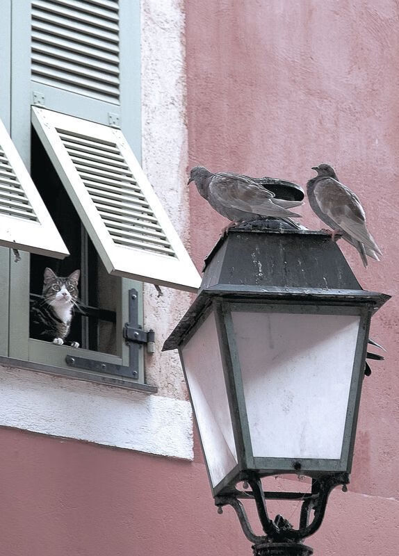 乐鱼电竞· (中国)官方网站-雷恩爱将斩获全场最佳，你知道雷恩cp吗