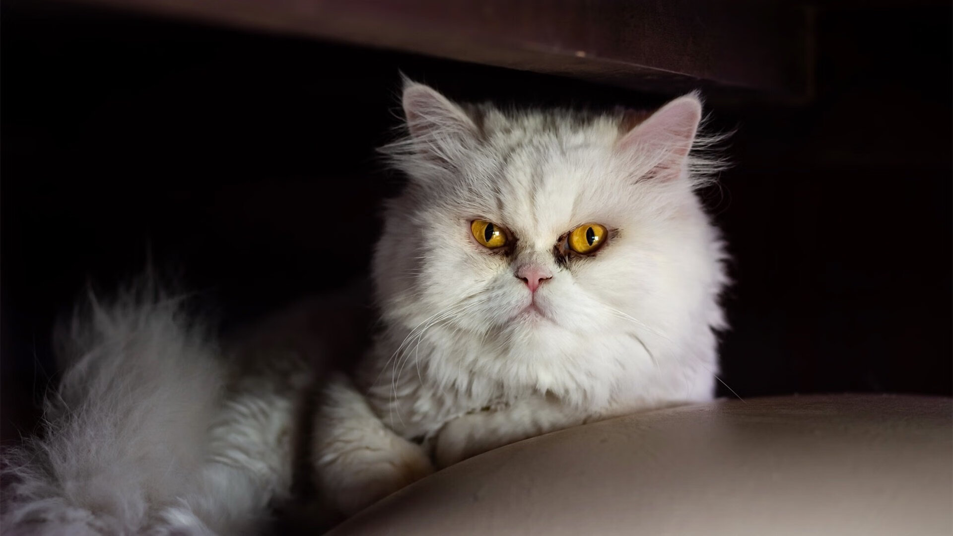 FaZe推出LOL主题短视频系列,fade是英雄联盟主题曲_