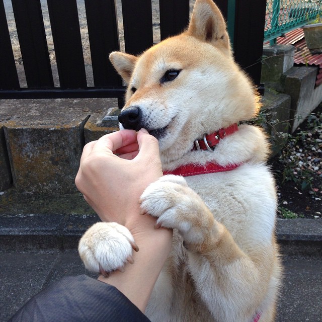 FaZe计划推出LOL联名潮服,faze战队百度百科