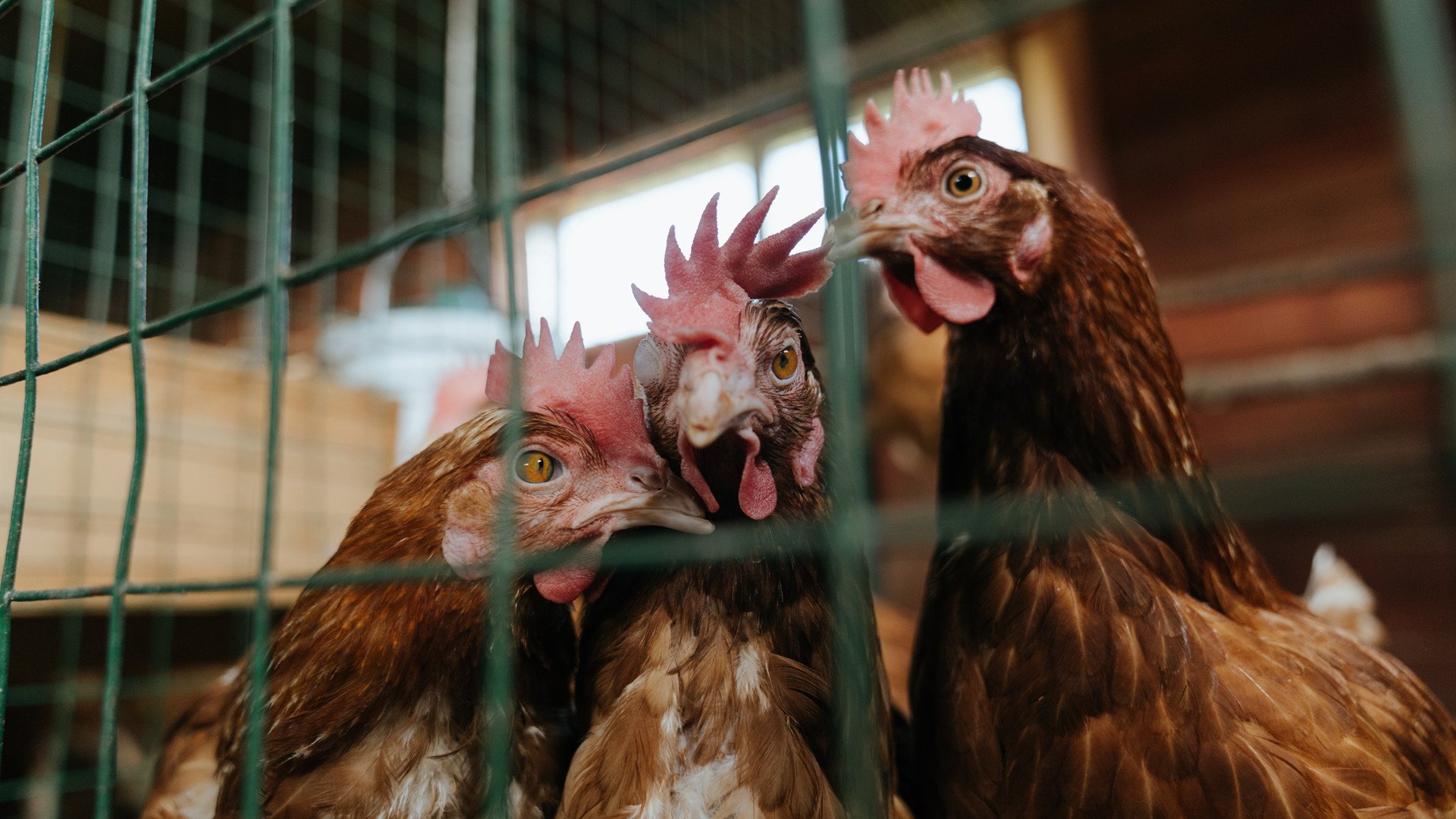 leyu乐鱼在线登录入口-Gen.G教练组战术创新备受关注，vg教练组