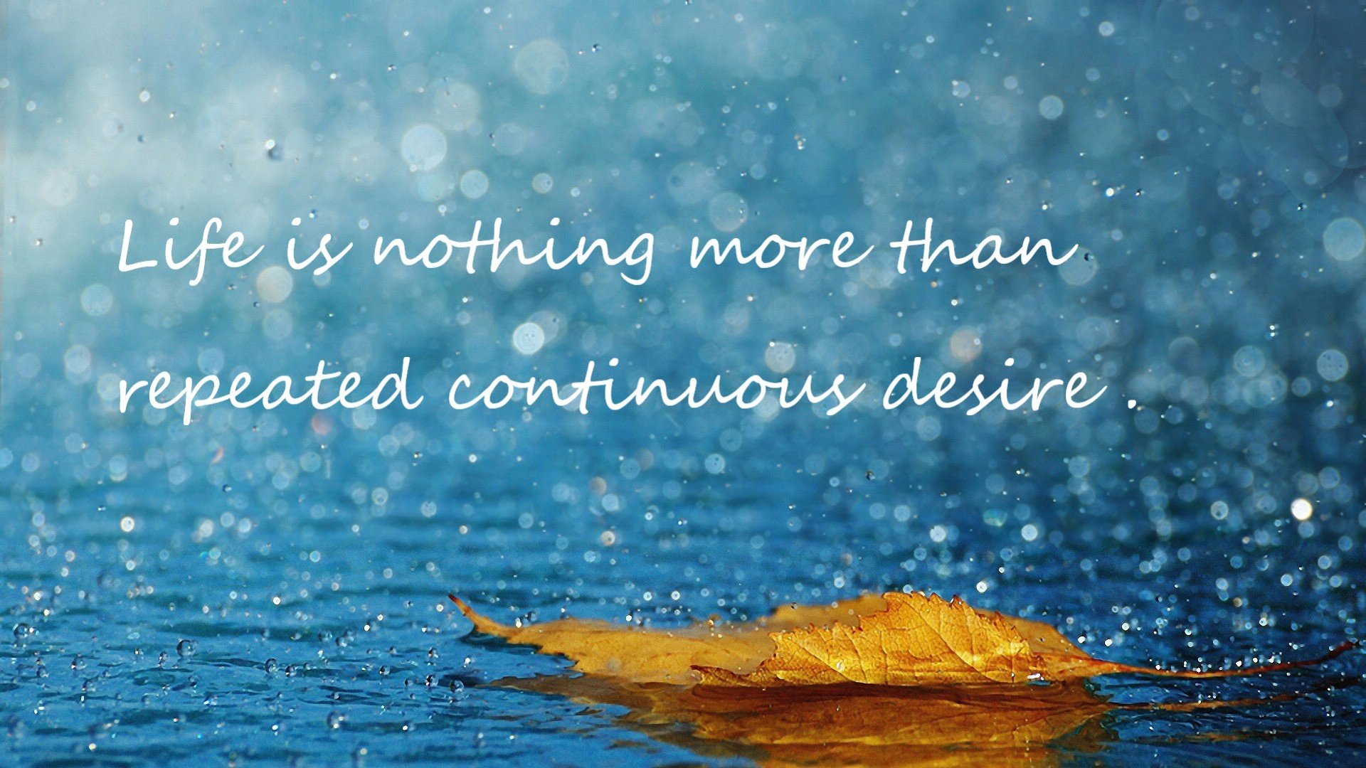 乐鱼体育平台app下载-Gen.G新人多面手表现抢眼