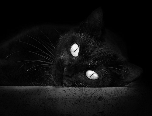 Leyu Sport登录入口-特内里费连续击败对手，士气高涨继续追赶领头羊，特内里费岛在哪里