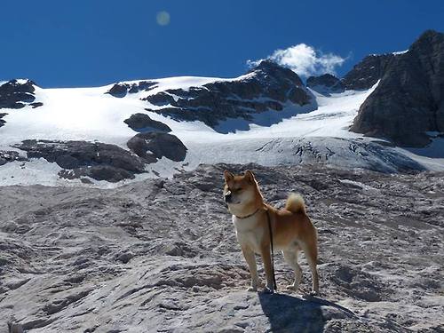 特别报道奥运申办城市迎审团考察，简述奥运会主办城市的遴选程序