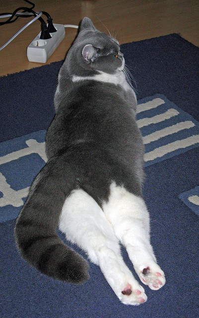 电竞城市促进电竞赛事与传统体育融合,电竞赛事结合的形成