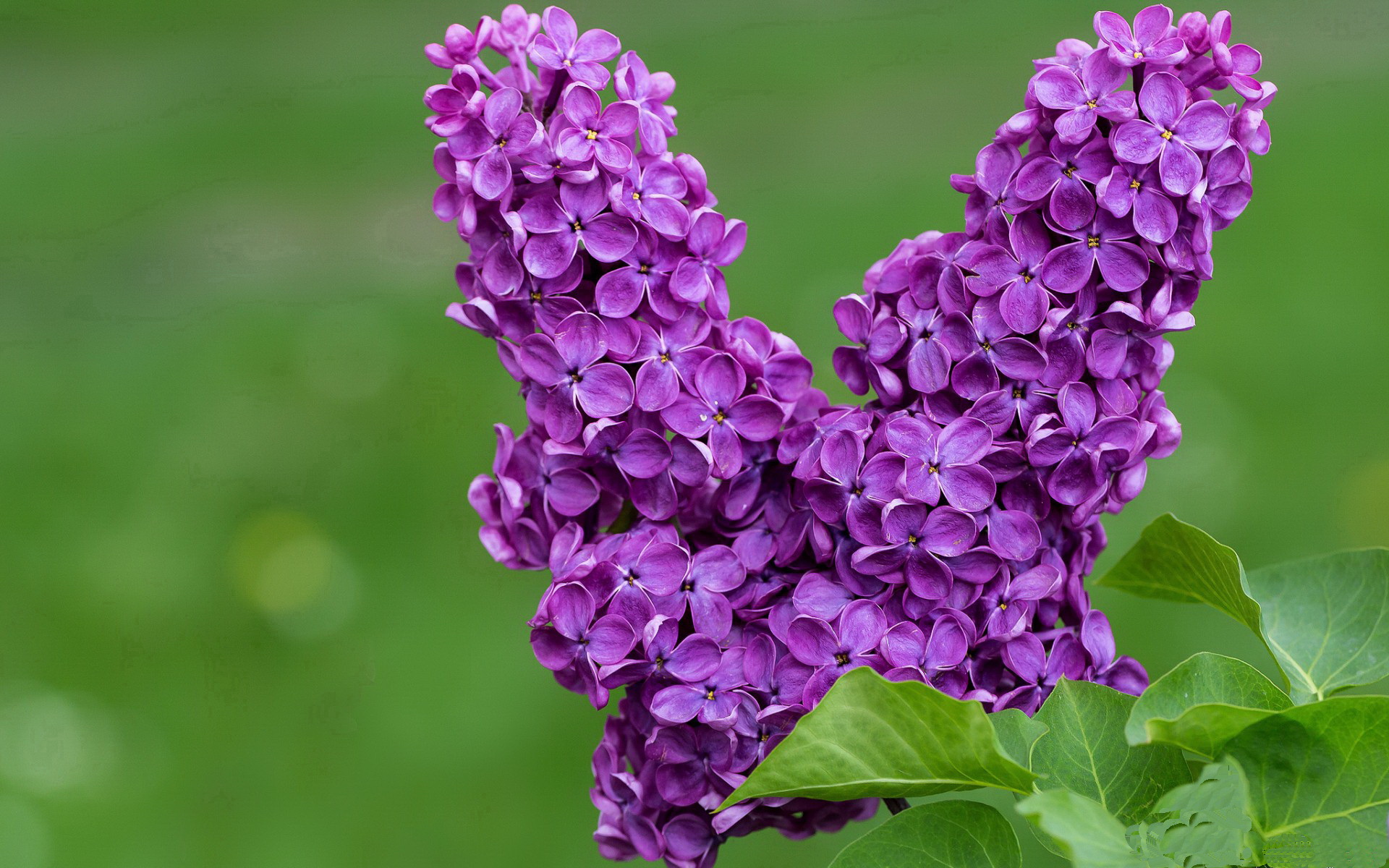 leyu乐鱼体育综合-队员受伤频发，球队整体作战受损，球队失误