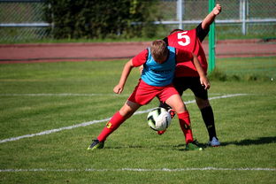 乐鱼体育APP官方下载-中国篮球职业联赛俱乐部运营模式创新及管理经验分享，篮球俱乐部运营与管理