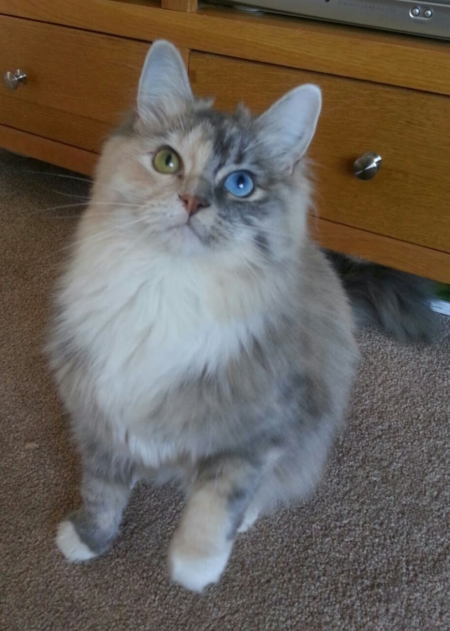 leyu乐鱼-拜仁高压战术将面临体能与替补深度双考验，拜仁战术风格打法