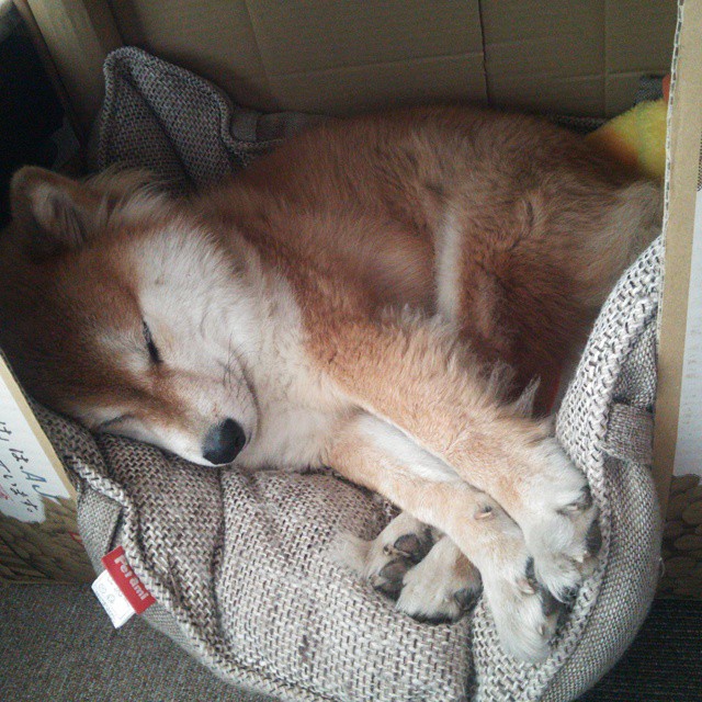 青训出口目标与联赛对接缺乏协同机制