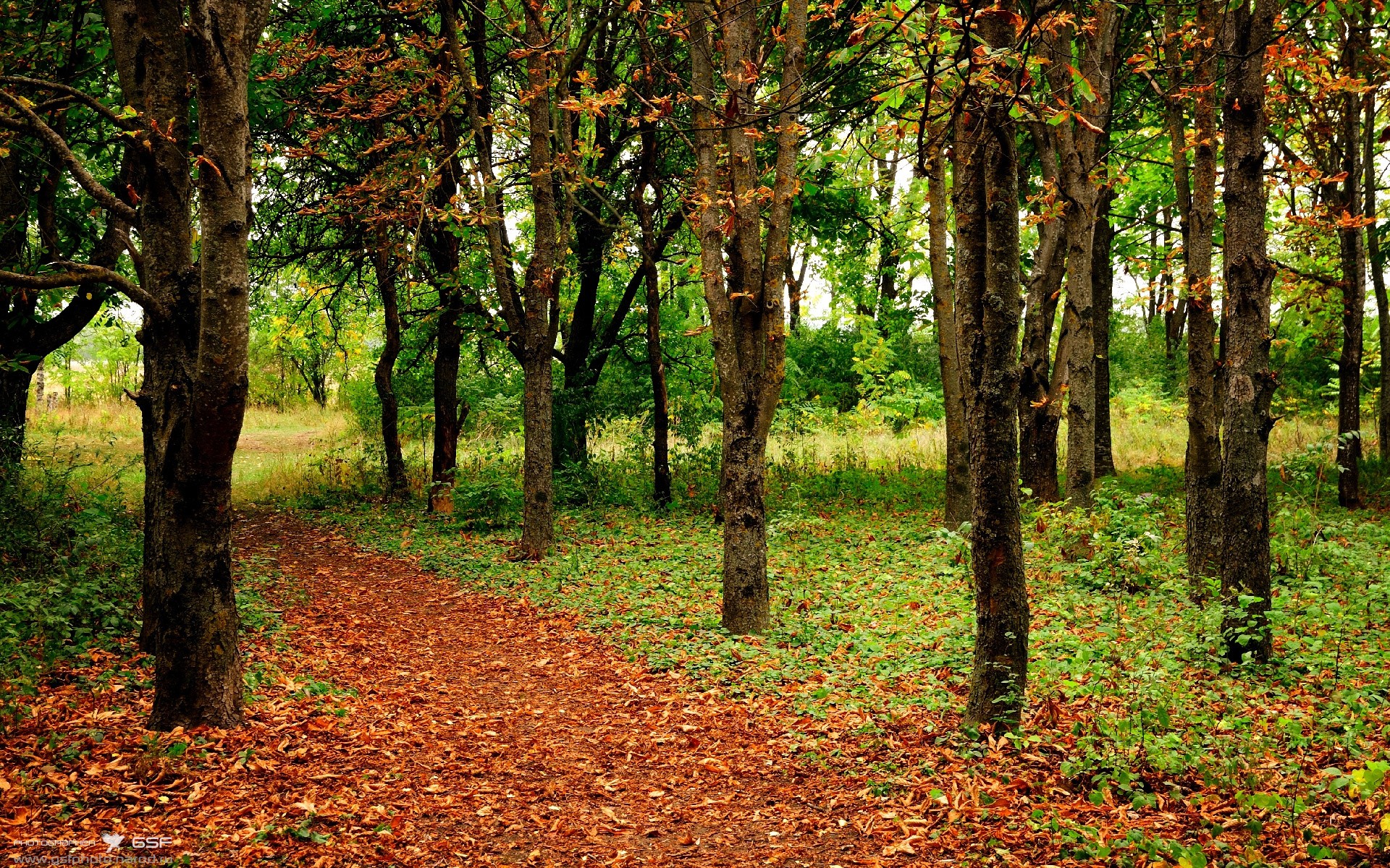 利兹联爆冷击败排名靠前的球队,士气大振