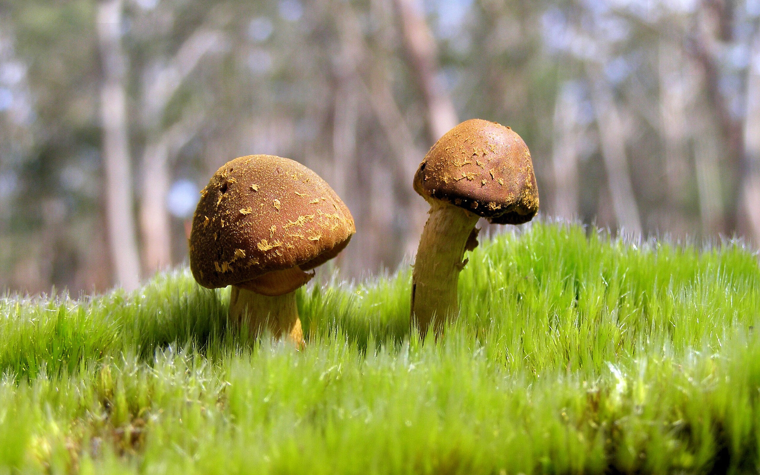 乐鱼vip-电竞文化创意节在全国范围同步开展，电竞文化创意节在全国范围同步开展了吗