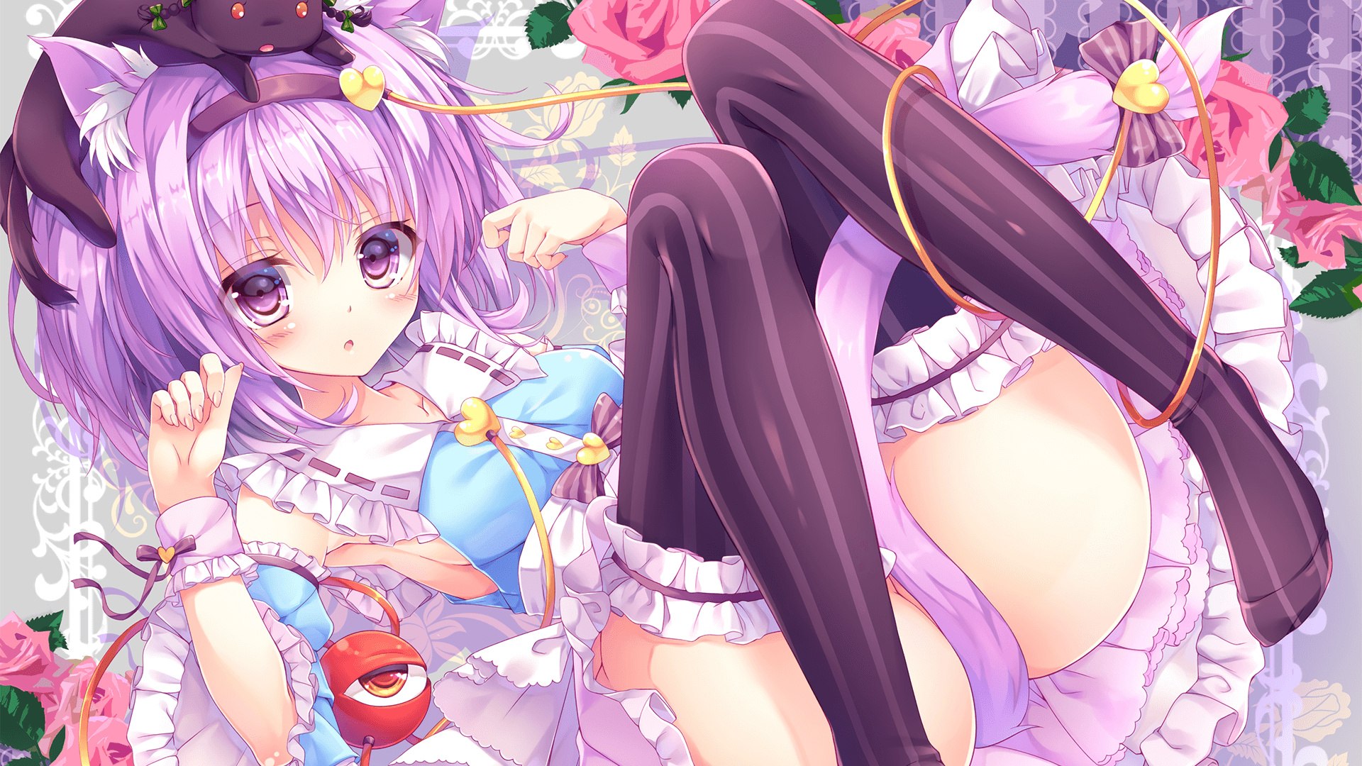 自由泳荷兰女将节奏把握精准,自由泳名将