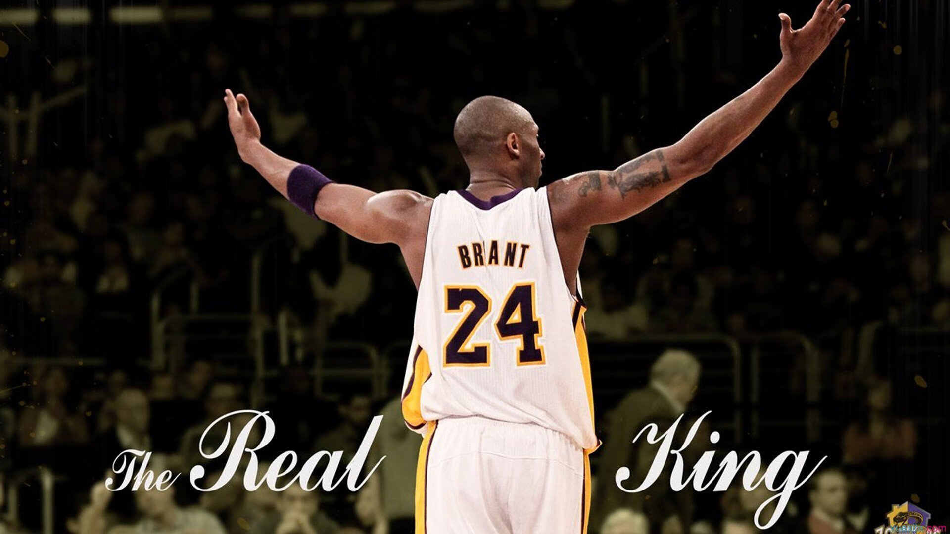 乐鱼官网-_骑士队士气高涨，团队配合逐渐磨合_，骑士队训练